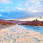 Am Weinberg Mit Garten Grosszuegig Und Exklusiv * Geisenheim