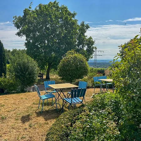 Am Weinberg Mit Garten Großzügig Und Exklusiv Villa Geisenheim