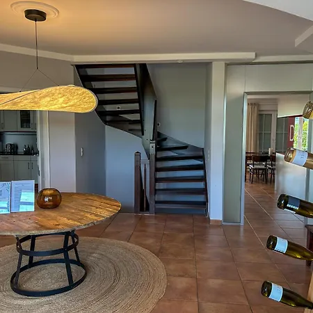 Am Weinberg Mit Garten Großzügig Und Exklusiv Villa Geisenheim