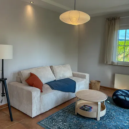 Am Weinberg Mit Garten Grosszuegig Und Exklusiv Geisenheim