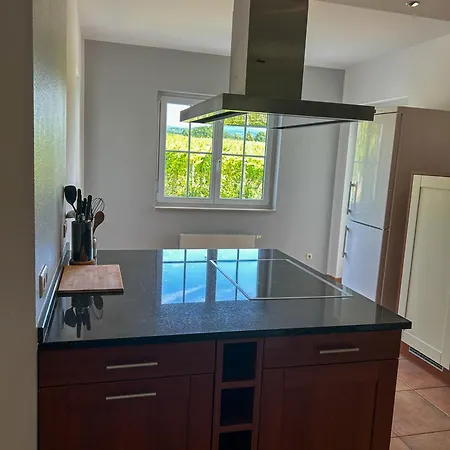 Am Weinberg Mit Garten Grosszuegig Und Exklusiv Villa Geisenheim