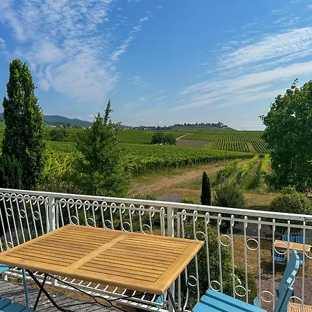 Am Weinberg Mit Garten Grosszuegig Und Exklusiv Villa Geisenheim