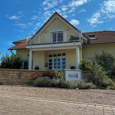 Villa Am Weinberg Mit Garten Grosszuegig Und Exklusiv
