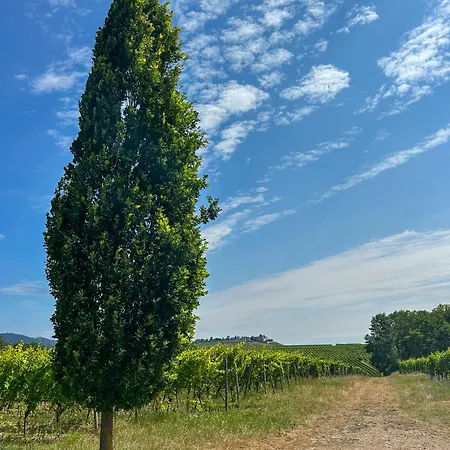 Villa Am Weinberg Mit Garten Grosszuegig Und Exklusiv Geisenheim