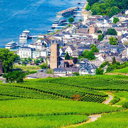 Villa Am Weinberg Mit Garten Grosszuegig Und Exklusiv Geisenheim