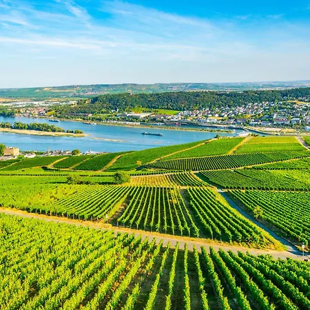 Exclusive Family In The Rheingau | 5br *