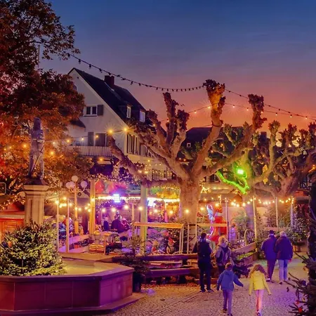 Am Weinberg Mit Garten Grosszuegig Und Exklusiv Villa Geisenheim