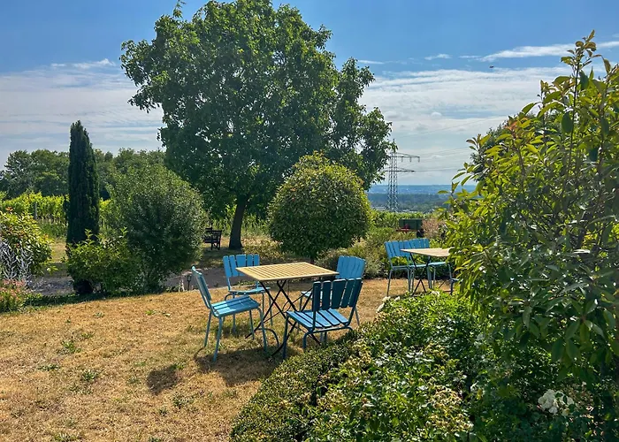 Am Weinberg Mit Garten Großzügig Und Exklusiv Villa Geisenheim