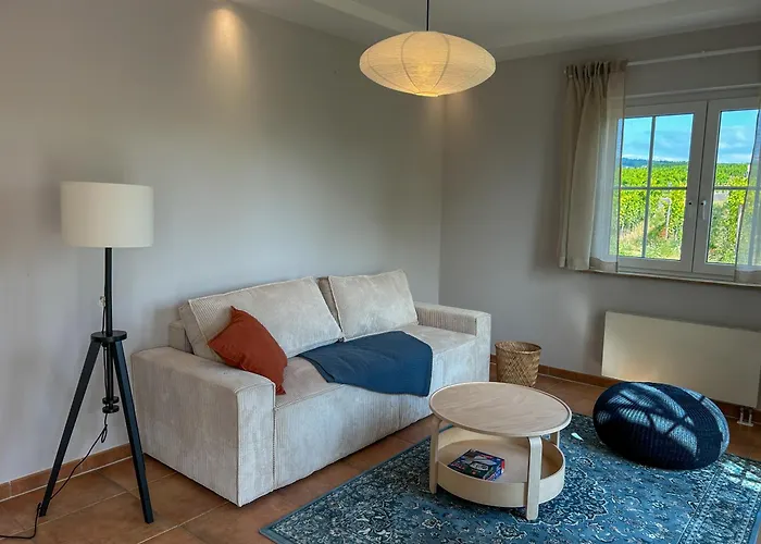 Am Weinberg Mit Garten Großzügig Und Exklusiv Geisenheim