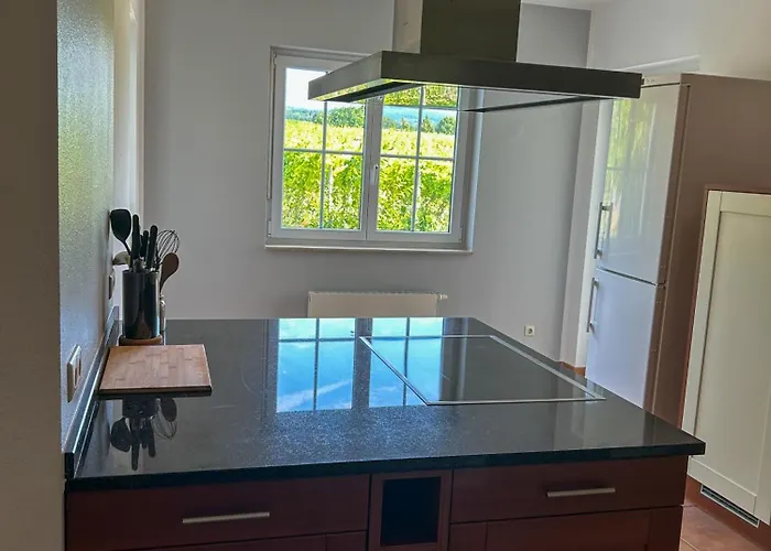 Am Weinberg Mit Garten Großzügig Und Exklusiv Villa Geisenheim