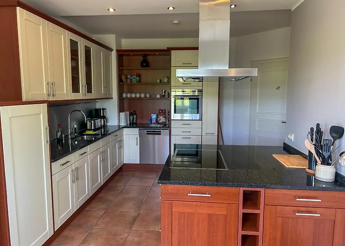 Am Weinberg Mit Garten Großzügig Und Exklusiv Villa Geisenheim