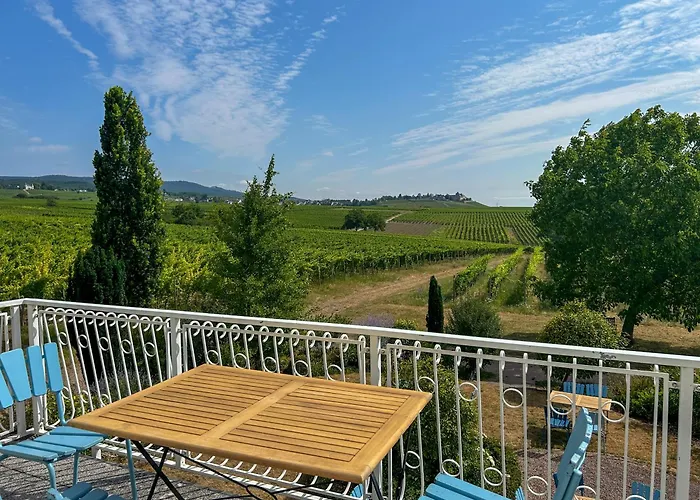 Am Weinberg Mit Garten Großzügig Und Exklusiv Villa Geisenheim