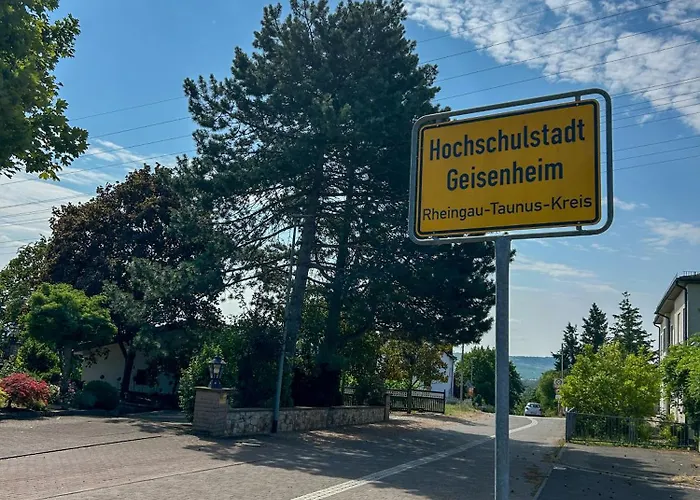 Am Weinberg Mit Garten Großzügig Und Exklusiv * Geisenheim