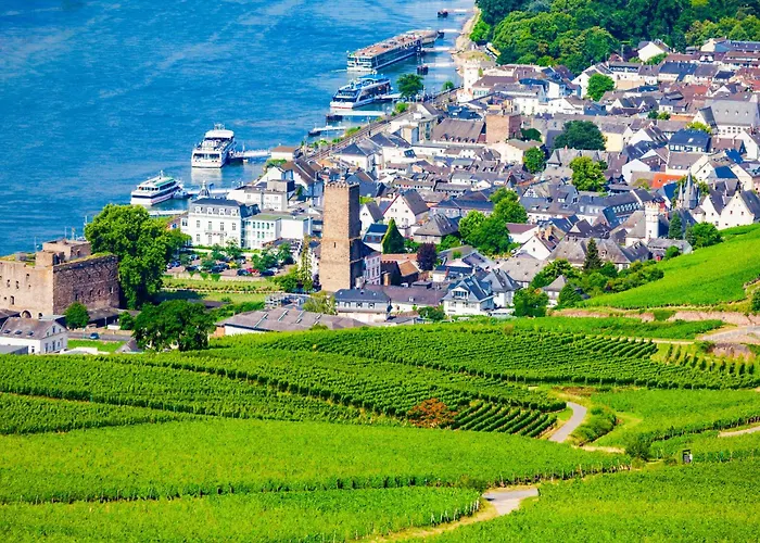 Villa Am Weinberg Mit Garten Großzügig Und Exklusiv Geisenheim