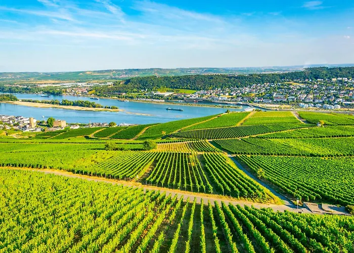 Am Weinberg Mit Garten Großzügig Und Exklusiv *