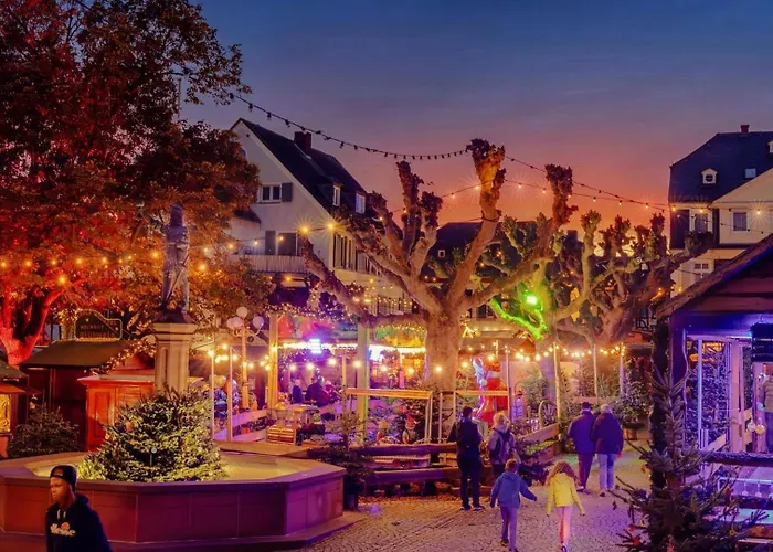 Am Weinberg Mit Garten Großzügig Und Exklusiv Villa Geisenheim