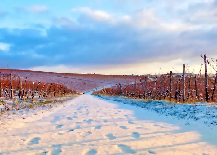 Am Weinberg Mit Garten Großzügig Und Exklusiv * Geisenheim